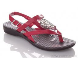 Босоніжки DEMUR WMona-collar-red - Взуття
› Босоніжки › сезон: літо Босоніжки DEMUR WMona-collar-red