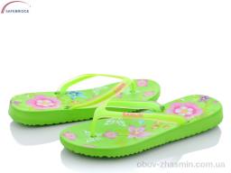Шлепки SANLIN VH55-12 green - Обувь › Шлепки › сезон: лето Шлепки SANLIN VH55-12 green
