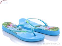 Шлепки SANLIN VH251-12 blue - Обувь › Шлепки › сезон: лето Шлепки SANLIN VH251-12 blue