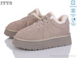 Уги ITTS F281-13