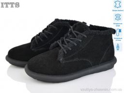 Уги ITTS DX12-1
