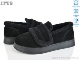Уги ITTS L25-1
