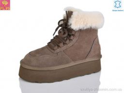 Черевики PLPS 5856 brown - Взуття
› Черевики › сезон: зима Черевики PLPS 5856 brown